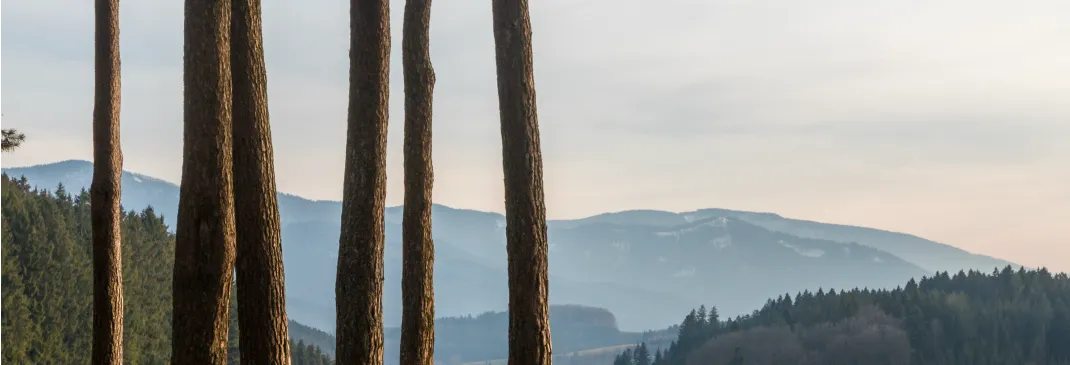 Bergpanorama bei Freiburg.